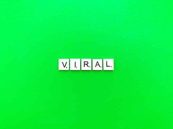 Quelles stratégies de marketing viral sont efficaces en 2024 ?